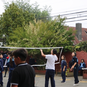Día de la Actividad Física